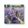Violet foncé en Provence 