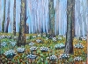Misty Woodland