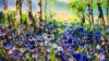 Bluebell woods 
