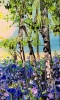 Bluebell woods 
