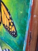 Monarch Butterfly