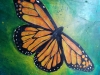 Monarch Butterfly