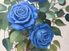 Blue Roses