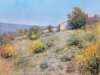 Garrigues in Provence