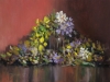 Laburnum flowers & Co