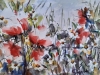 Poppies Along the Path