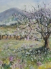 Majorca Spring Blossom