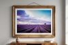 The Purple Horizon