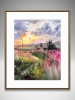 Where Fireweed Blooms