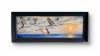 \"Symphony of Wings\" with frame