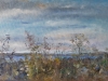 River Bank