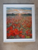 Poppies in Hitchin