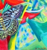 Tropical Butterfly & Lobster Claw