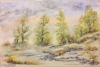 Canadian Landscape 16, 12x17.5 inch, Water colors on cold press paper SKU 4037