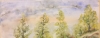Canadian Landscape 16, 12x17.5 inch, Water colors on cold press paper SKU 4037