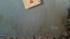Love Games