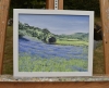 Bluebells, Cwm Pennant