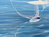 Enchanted, a blue seascape with birds