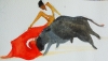 Red Flamenco