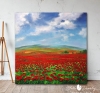 Fields In Bloom