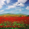 Fields In Bloom