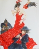 Red Flamenco