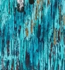 Golden Birch Wood
