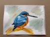 A Kingfisher 