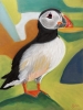 A Vibrant Puffin Drawing