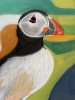 A Vibrant Puffin Drawing