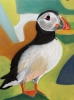 A Vibrant Puffin Drawing