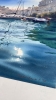 Turquoise Harbor
