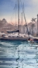 Turquoise Harbor