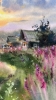 Where Fireweed Blooms