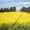 10 x10 inches 