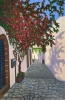 Mediterranean Dream