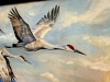 \"Symphony of Wings\" with frame