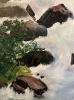 Waterfall in Oil and Textures 