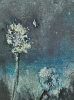 In The Night Garden