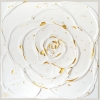 Little White Rose with a Touch of Gold III. (3I25)