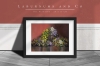 Laburnum flowers & Co