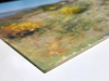 Garrigues in Provence