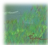Cattails in Lake