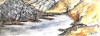 Canadian mountain landscape 14, 12x17.5 inch, water colors on cold press paper, SKU 4036 