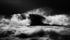 Study in Monochrome - Waveform v