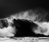 Study in Monochrome - Waveform v