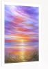 Summer Sunset Limited Edition Print