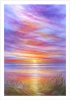 Summer Sunset Limited Edition Print