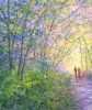 Sunlight & Shadows 2