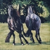 The Dance - Friesian Horses